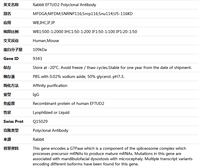 EFTUD2 Antibody,索莱宝,K004961P-100ul