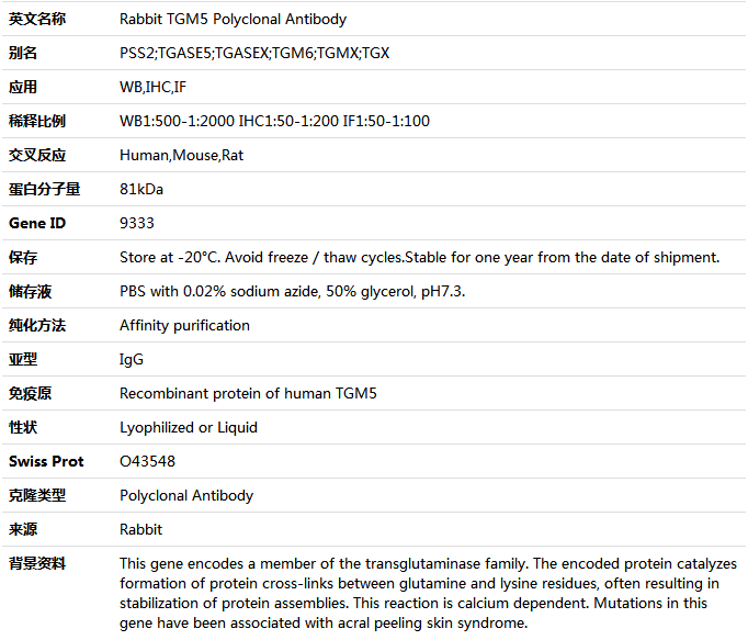 TGM5 Antibody,索莱宝,K004960P-50ul