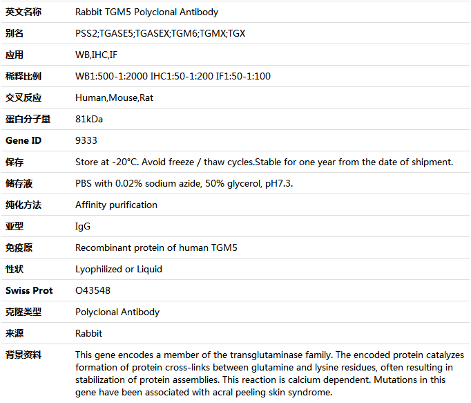 TGM5 Antibody,索莱宝,K004960P-100ul