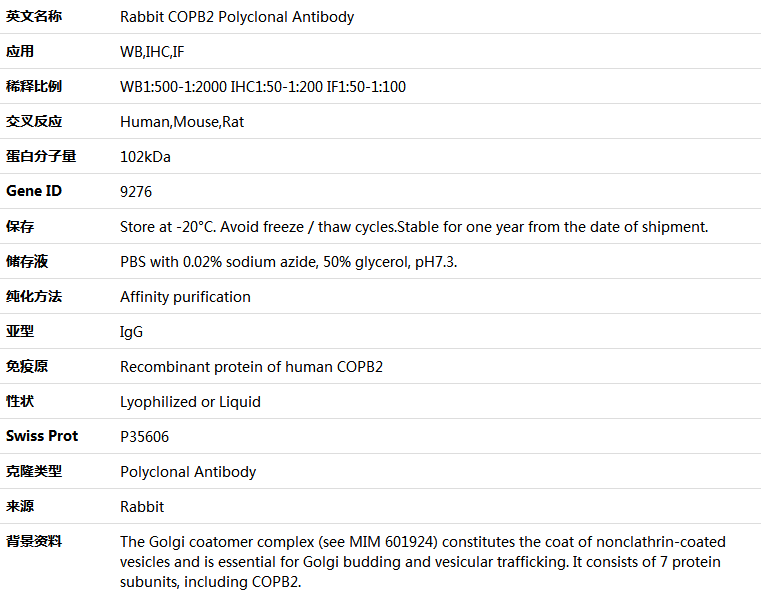 COPB2 Antibody,索莱宝,K004957P-50ul