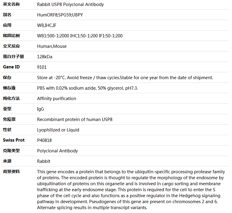 USP8 Antibody,索莱宝,K004954P-100ul