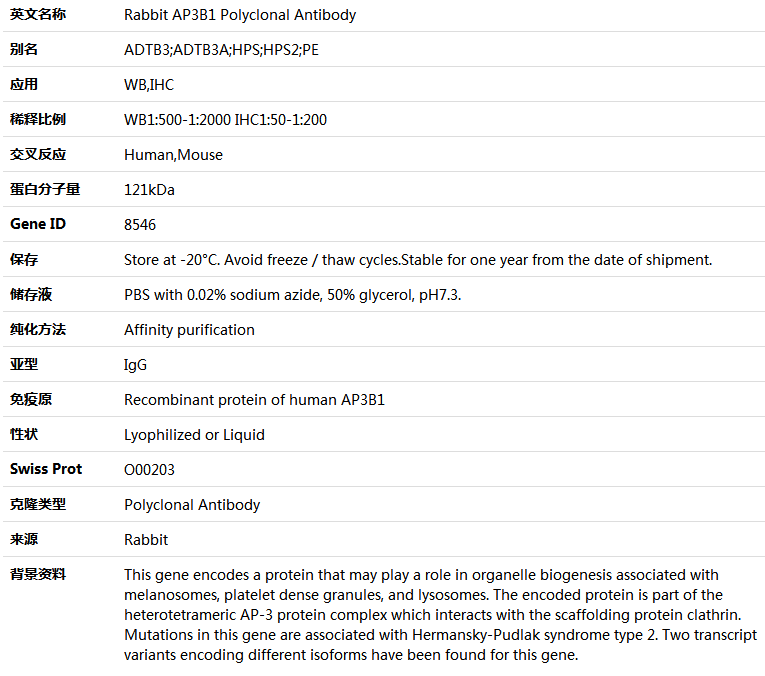 AP3B1 Antibody,索莱宝,K004945P-100ul