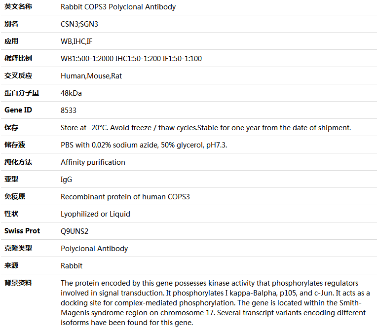 COPS3 Antibody,索莱宝,K004943P-100ul