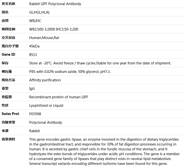 LIPF Antibody,索莱宝,K004942P-50ul