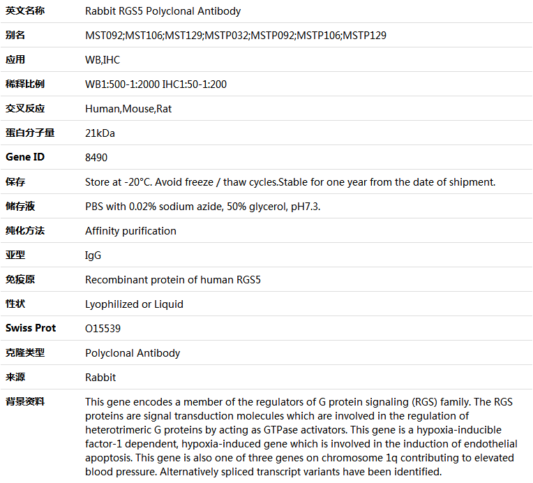 RGS5 Antibody,索莱宝,K004941P-100ul