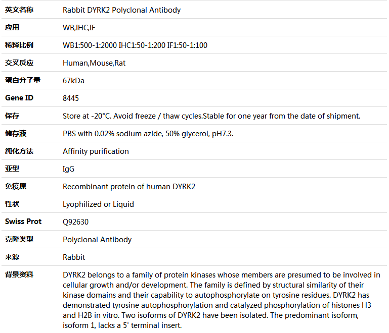 DYRK2 Antibody,索莱宝,K004938P-50ul