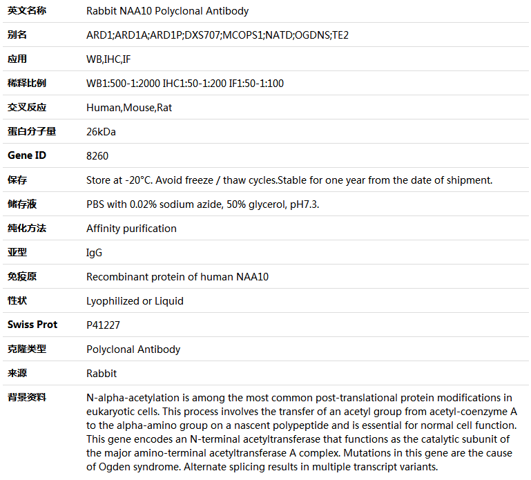 NAA10 Antibody,索莱宝,K004936P-50ul