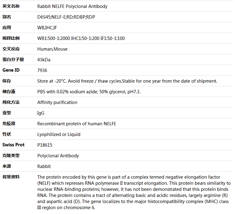 NELFE Antibody,索莱宝,K004933P-100ul