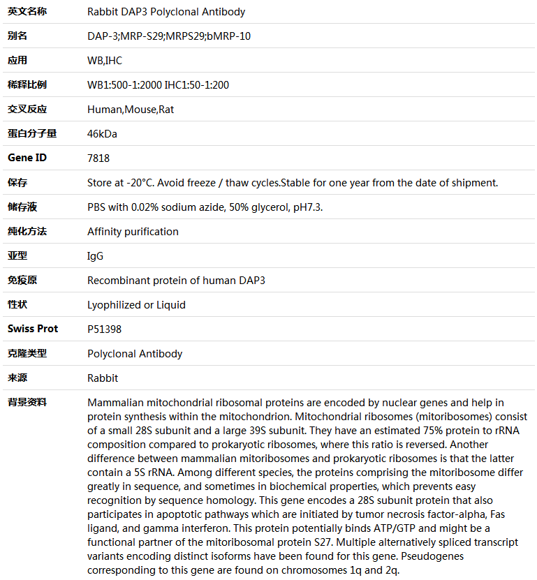 DAP3 Antibody,索莱宝,K004931P-100ul