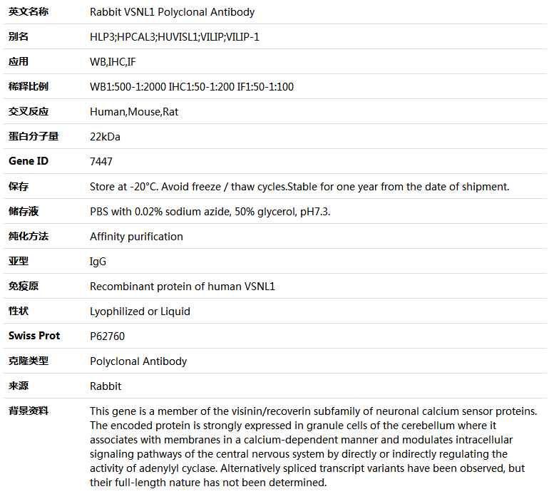 VSNL1 Antibody,索莱宝,K004927P-100ul