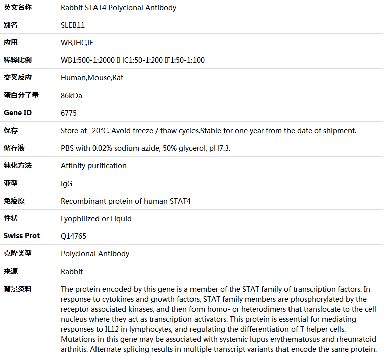STAT4 Antibody,索莱宝,K004920P-100ul
