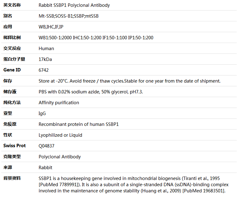 SSBP1 Antibody,索莱宝,K004917P-50ul
