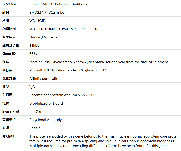 SNRPD2 Antibody,索莱宝,K004915P-50ul
