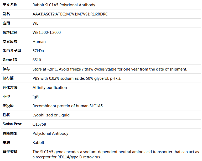 SLC1A5 Antibody,索莱宝,K004913P-50ul
