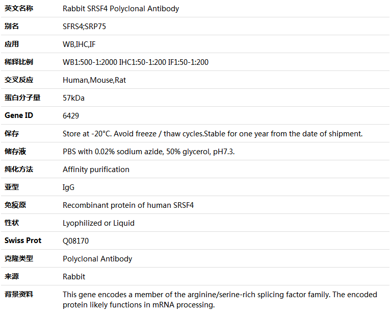 SRSF4 Antibody,索莱宝,K004910P-50ul