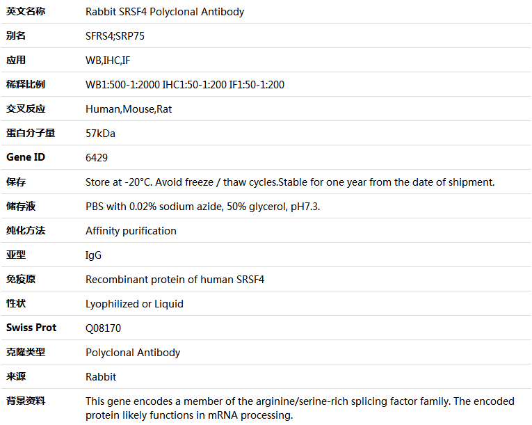 SRSF4 Antibody,索莱宝,K004910P-100ul