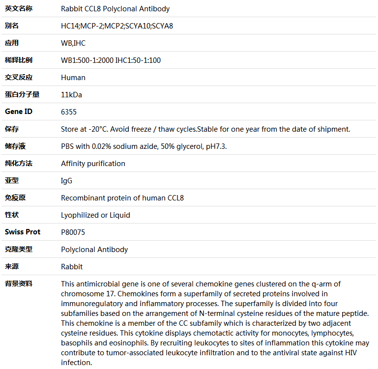 CCL8 Antibody,索莱宝,K004909P-100ul