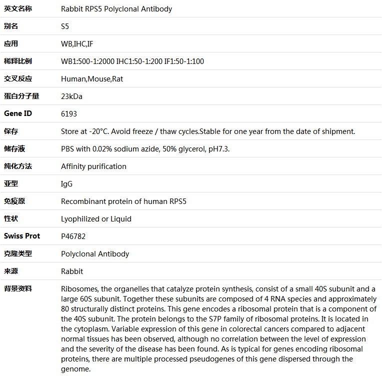 RPS5 Antibody,索莱宝,K004907P-100ul