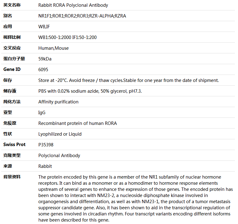 RORA Antibody,索莱宝,K004904P-100ul