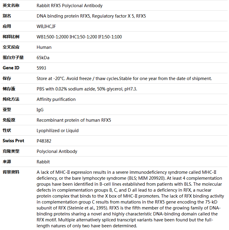 RFX5 Antibody,索莱宝,K004902P-100ul