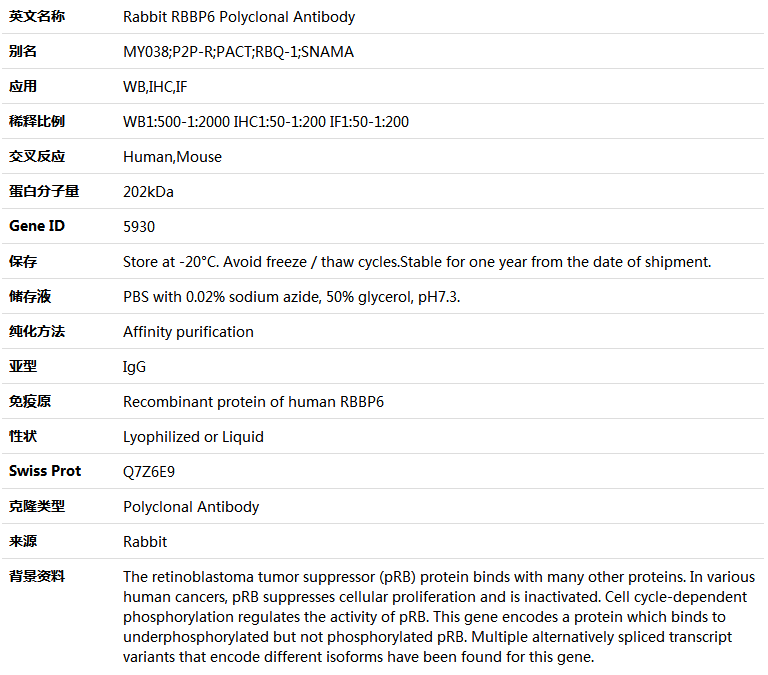 RBBP6 Antibody,索莱宝,K004900P-100ul