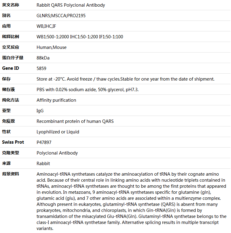 QARS Antibody,索莱宝,K004895P-50ul