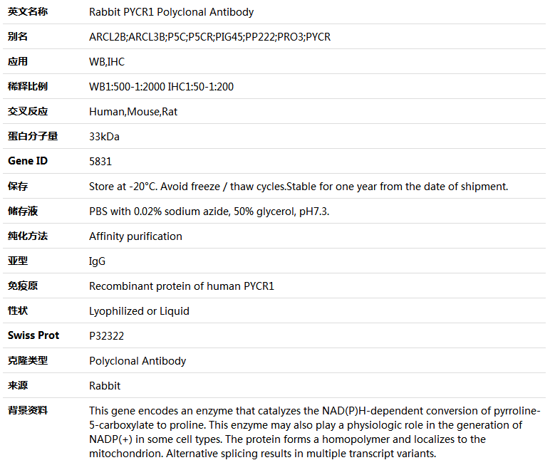 PYCR1 Antibody,索莱宝,K004894P-50ul