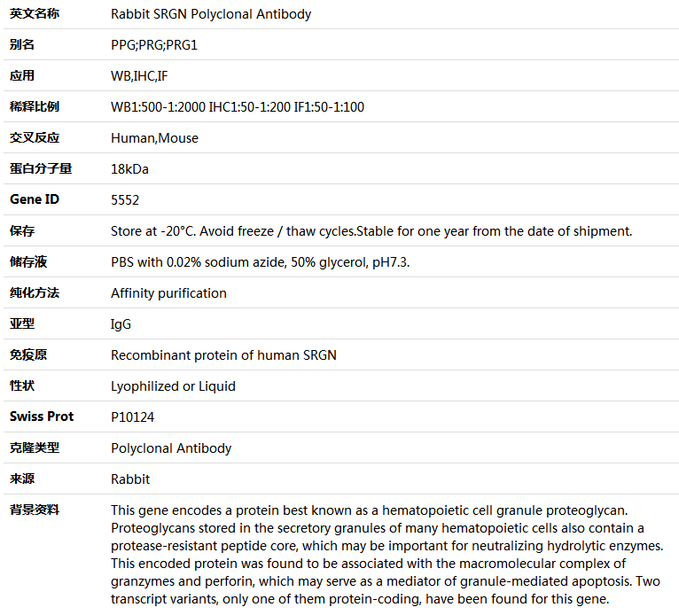 SRGN Antibody,索莱宝,K004889P-30ul
