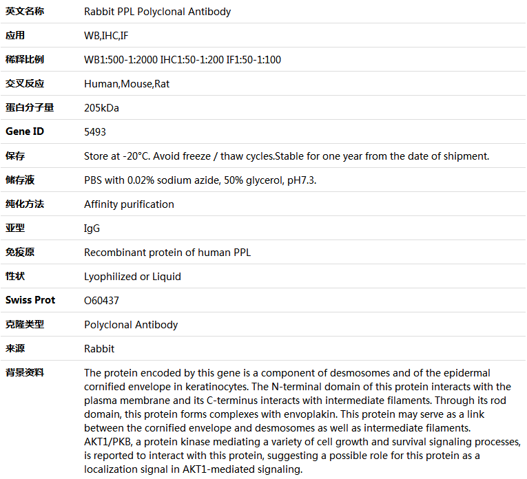 PPL Antibody,索莱宝,K004888P-50ul