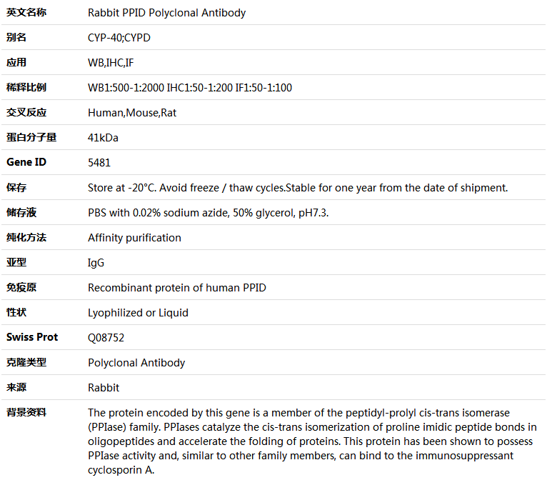 PPID Antibody,索莱宝,K004887P-50ul