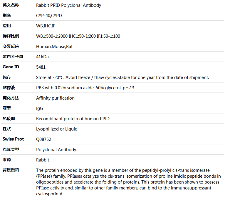 PPID Antibody,索莱宝,K004887P-30ul