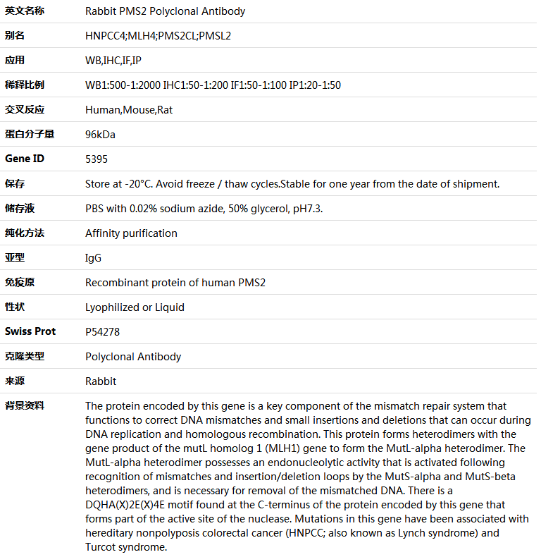 PMS2 Antibody,索莱宝,K004885P-100ul