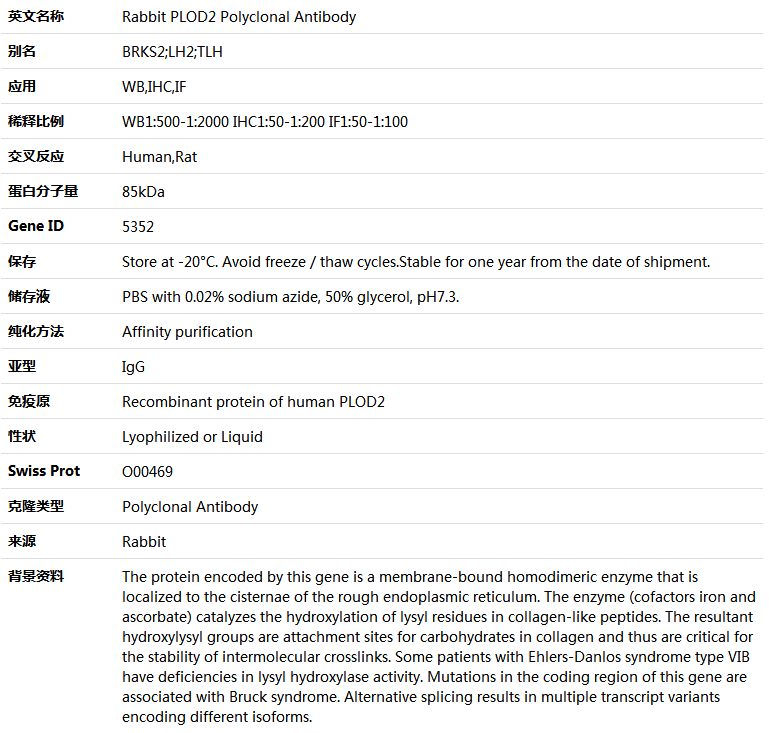 PLOD2 Antibody,索莱宝,K004884P-100ul