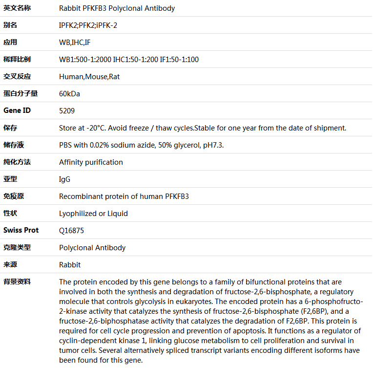 PFKFB3 Antibody,索莱宝,K004883P-100ul