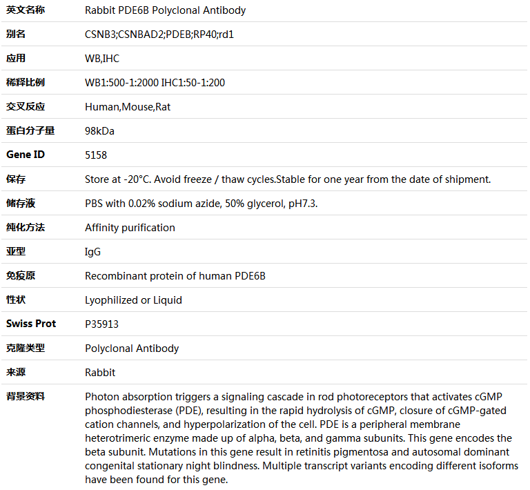 PDE6B Antibody,索莱宝,K004881P-100ul