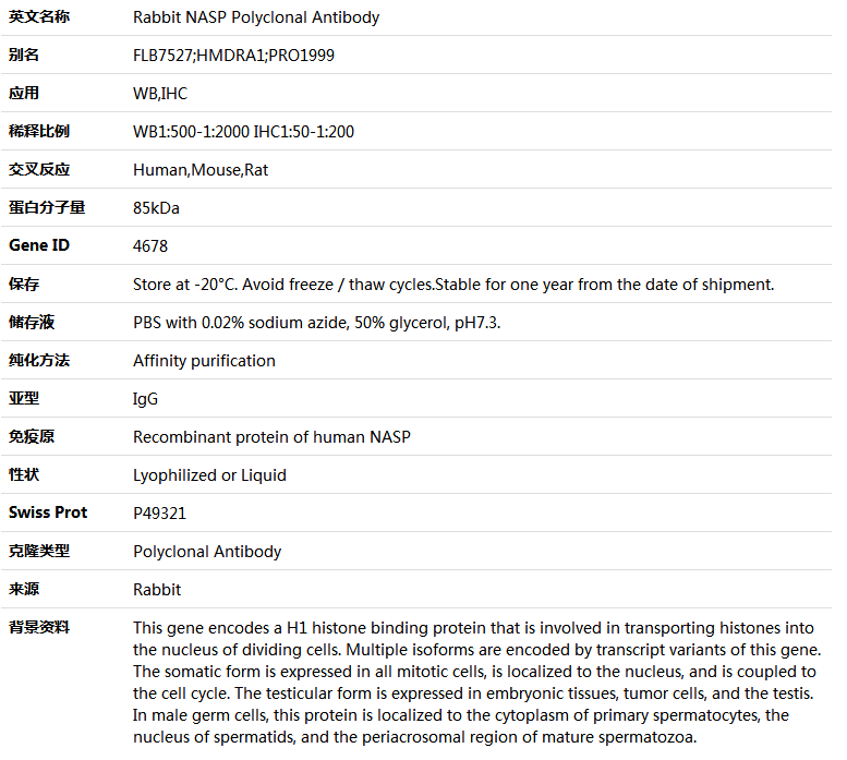 NASP Antibody,索莱宝,K004880P-50ul