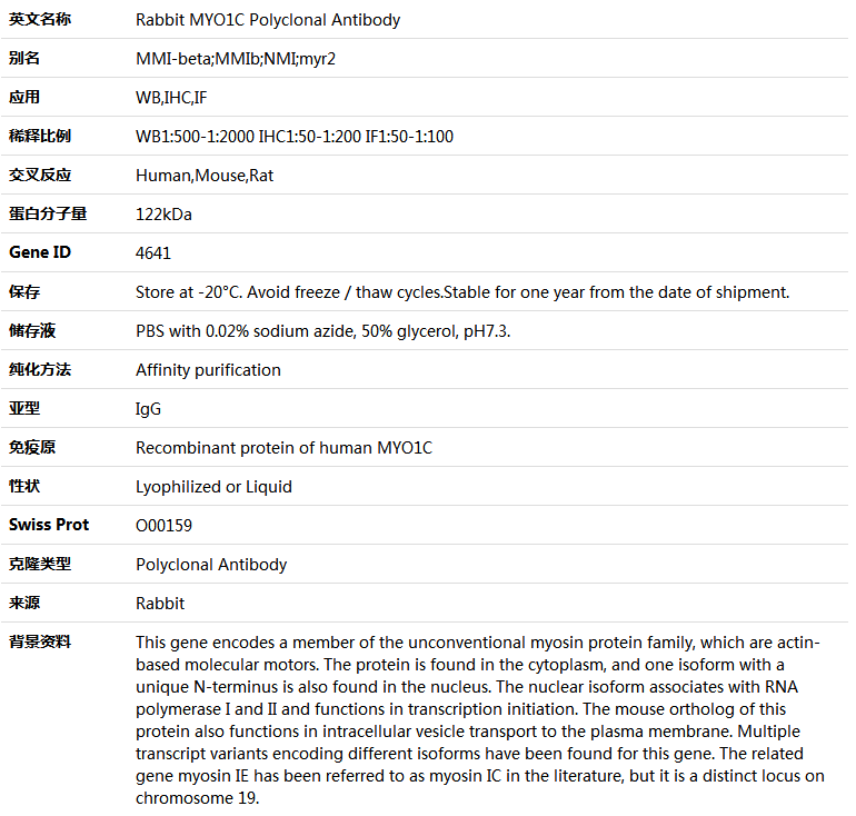MYO1C Antibody,索莱宝,K004878P-100ul