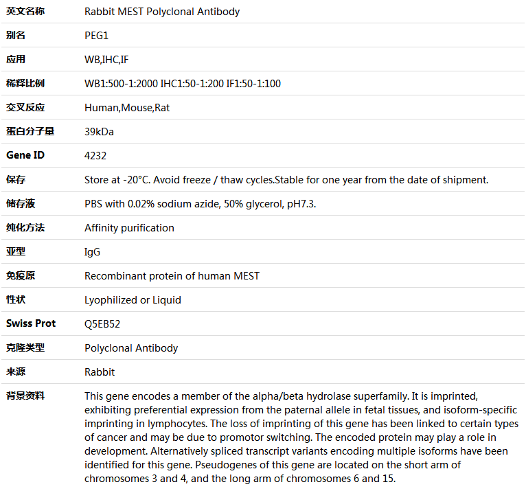 MEST Antibody,索莱宝,K004874P-100ul