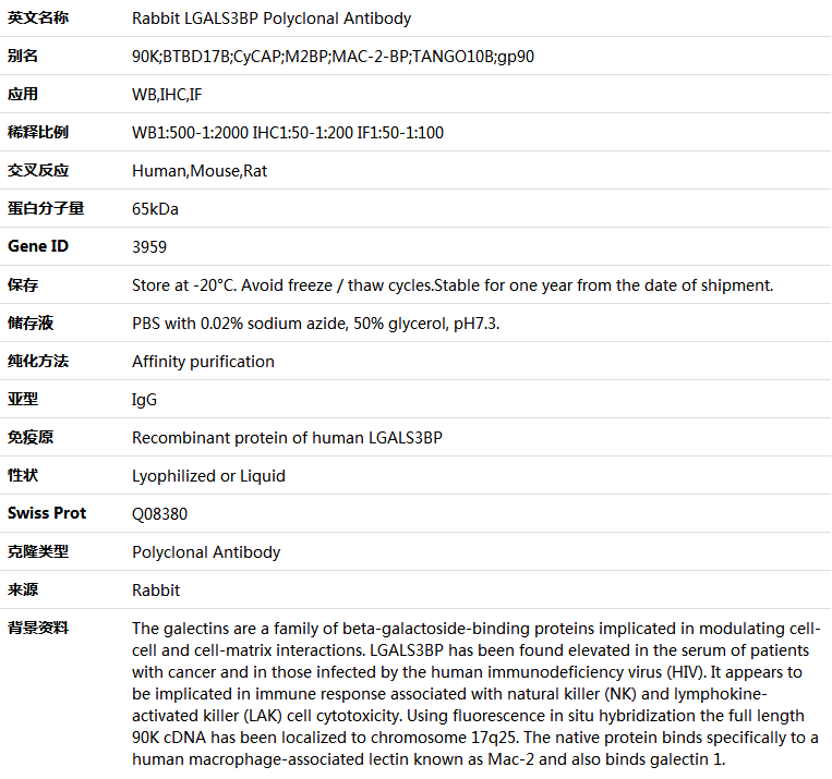 LGALS3BP Antibody,索莱宝,K004872P-50ul