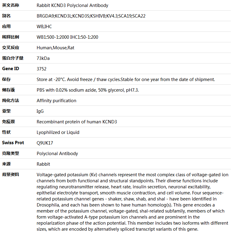 KCND3 Antibody,索莱宝,K004871P-50ul