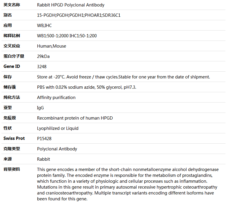 HPGD Antibody,索莱宝,K004870P-100ul