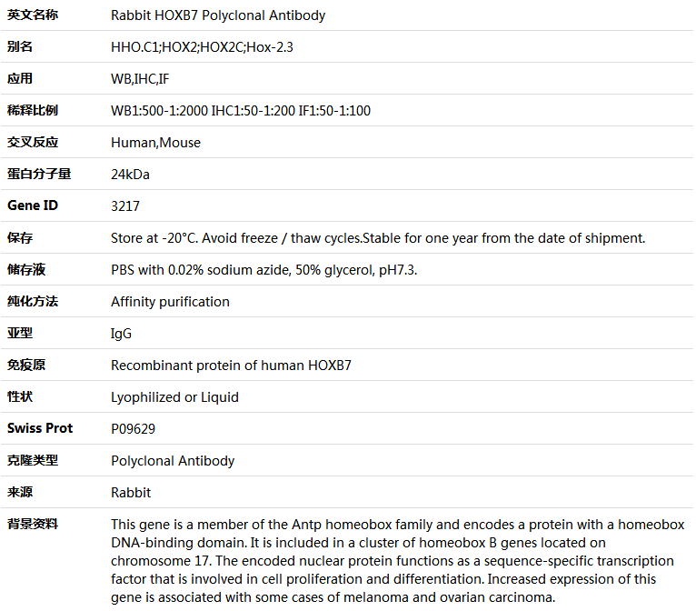 HOXB7 Antibody,索莱宝,K004869P-100ul