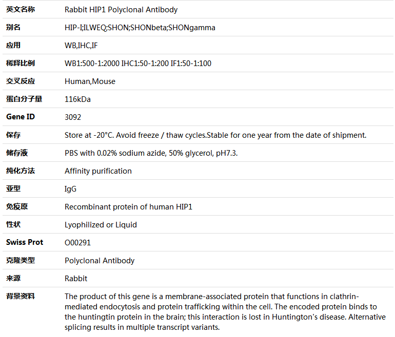HIP1 Antibody,索莱宝,K004867P-100ul