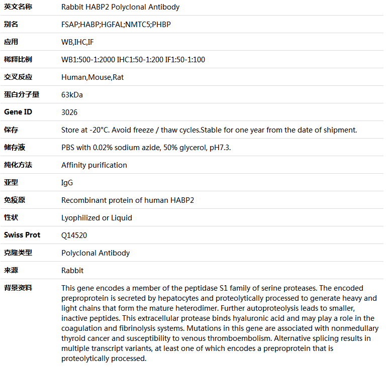 HABP2 Antibody,索莱宝,K004866P-100ul