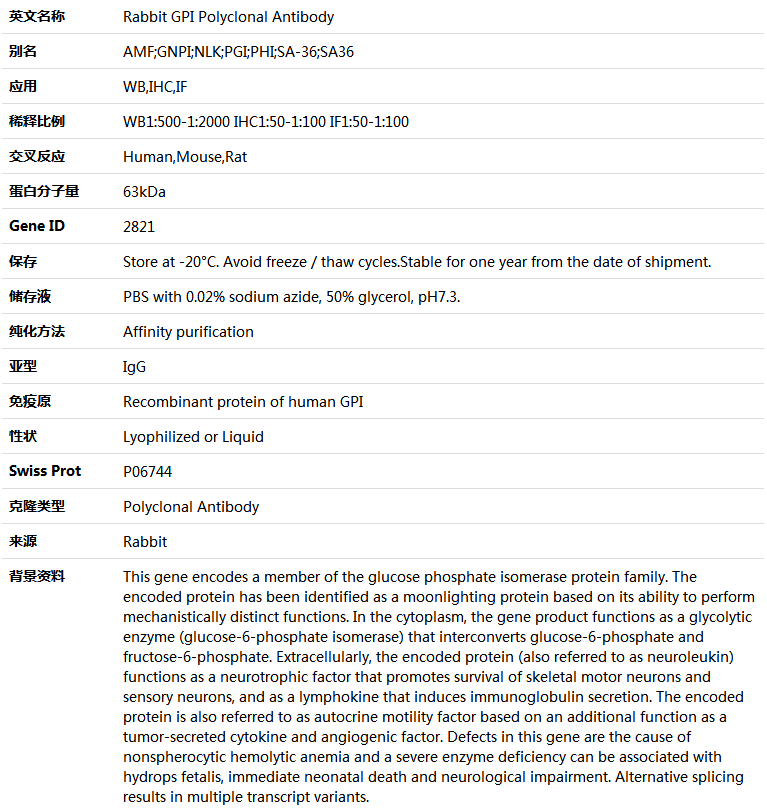 GPI Antibody,索莱宝,K004864P-100ul