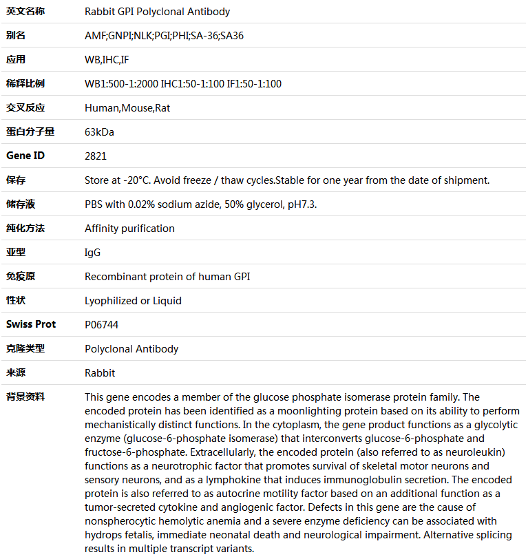 GPI Antibody,索莱宝,K004864P-50ul