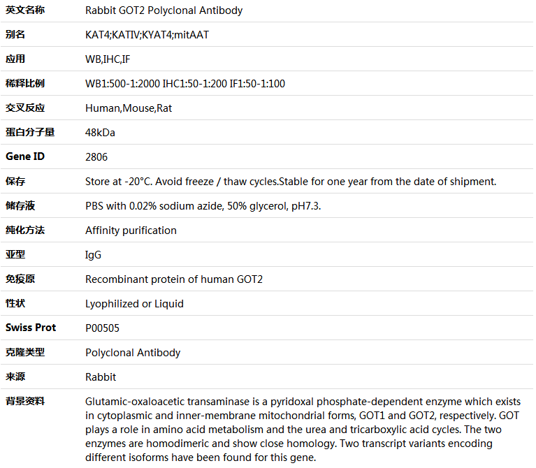 GOT2 Antibody,索莱宝,K004863P-50ul