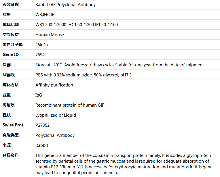 GIF Antibody,索莱宝,K004862P-100ul