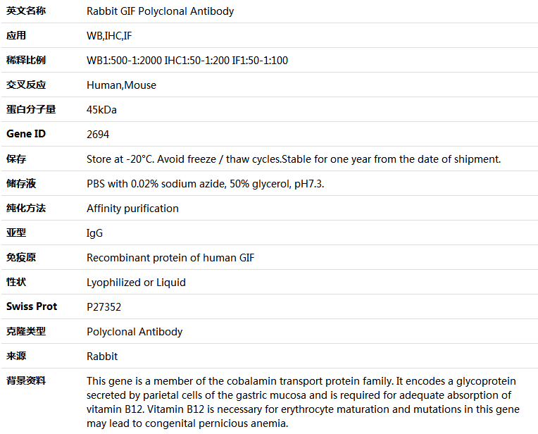 GIF Antibody,索莱宝,K004862P-50ul