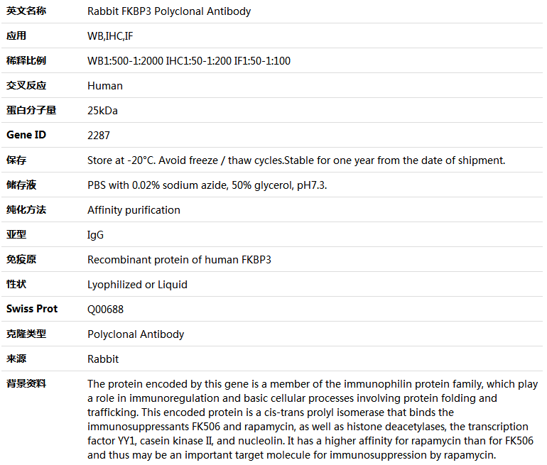 FKBP3 Antibody,索莱宝,K004857P-100ul